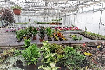Gärtner/in Maßregelvollzugszentrum Niedersachsen Ausbildung